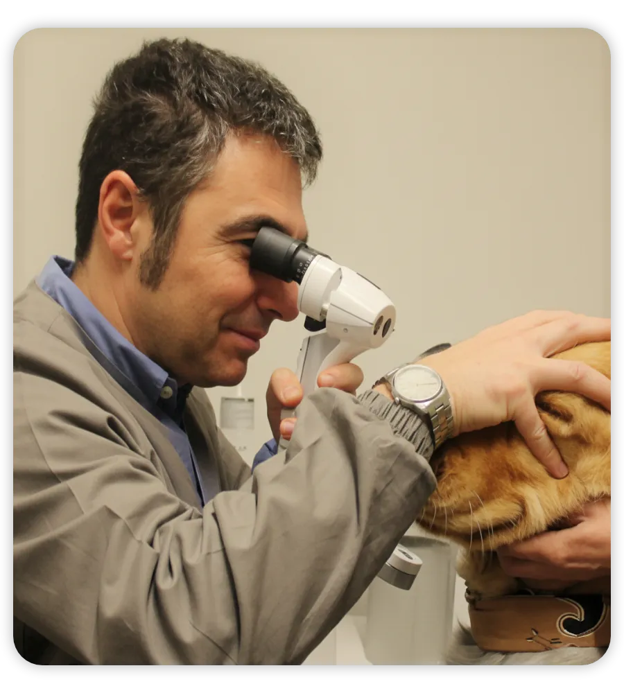 Come prenotare una visita oculistica veterinaria con il dottore Marco Crema
